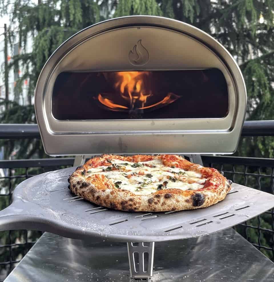 What Is The Best Wood For Roccbox Pizza Oven?