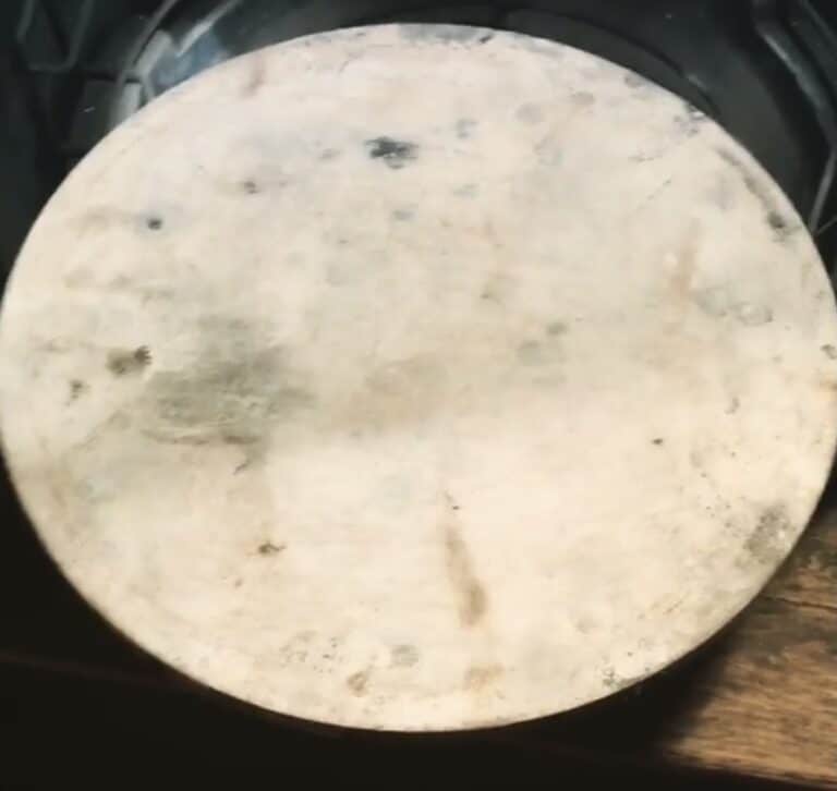 Mold On a Pizza Stone: Can It Be Cleaned